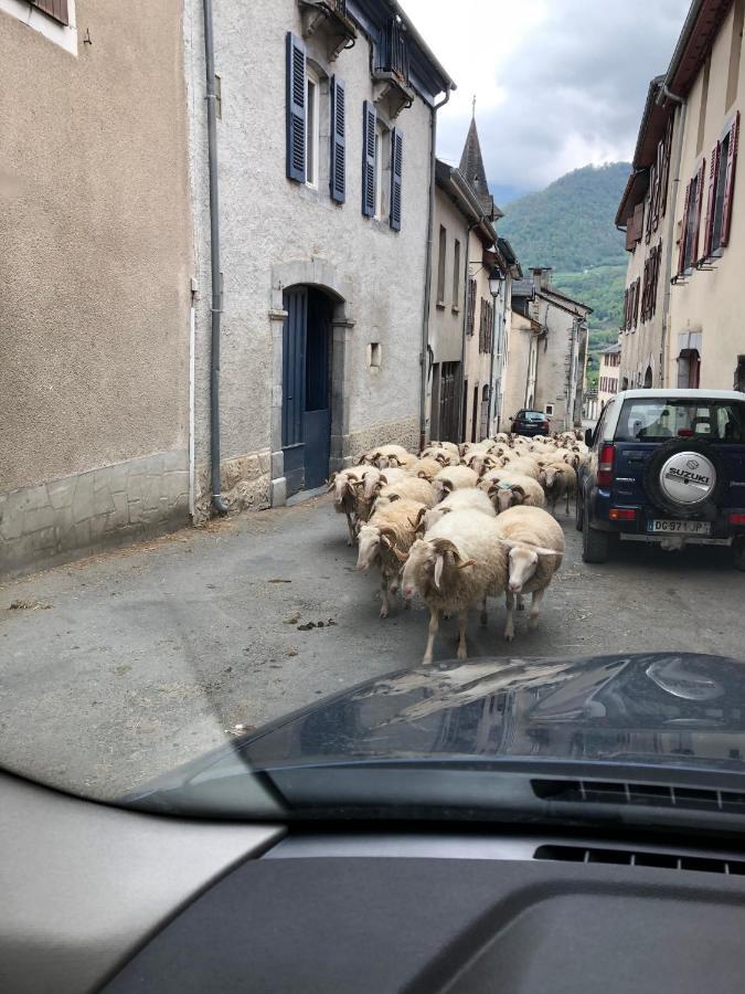 Appartamento Au cœur des Pyrénées Pierrefitte-Nestalas Esterno foto